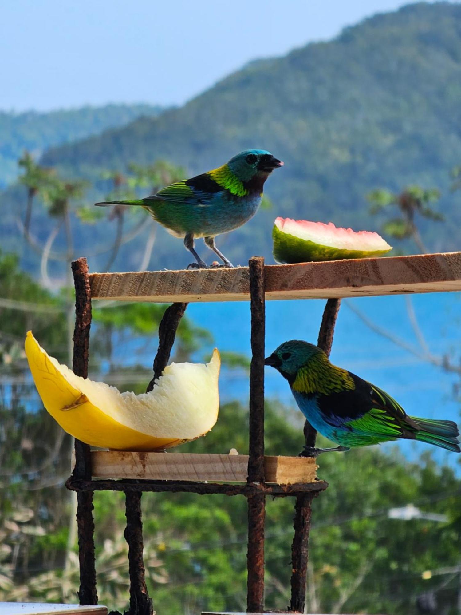 Pousada Encontro Das Aguas Trindade  Exteriér fotografie